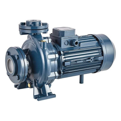 Моноблочный фланцевый насосный агрегат Purity PSTC 80-160/110 100580155