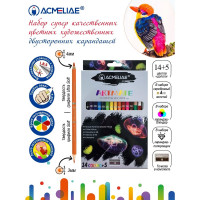 Набор для рисования ACMELIAE 15 двусторонних карандашей, точилка, в картонном футляре 43978