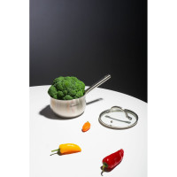 Ковш со стеклянной крышкой TAVOLONE FRISA 16 см, 1.9 л 800240 806255337598