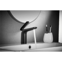 Смеситель для раковины ROSE черный R3901H