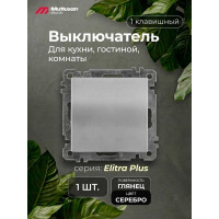 Выключатель одноклавишный, серебро (Elitra Plus) 2270 401 0292 Mutlusan Electric