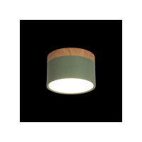 Накладной светильник LOFT IT Grape 10162 Green