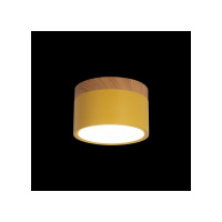 Накладной светильник LOFT IT Grape 10162 Yellow