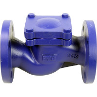 Клапан обратный подъемный DN.ru 287A Ду50 Ру16 фланцевый, чугунный D100-02376