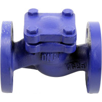 Клапан обратный подъемный DN.ru 287A Ду15 Ру16 фланцевый, чугунный D100-02371