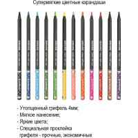 Набор цветных карандашей ACMELIAE blackwood artmate 12 цветов в картонном футляре 43068