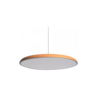 Подвесной светильник LOFT IT Plato 10119 Orange