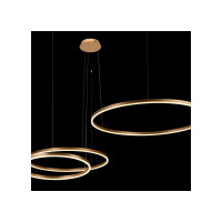 Подвесной светильник LOFT IT Ring 10017/3M