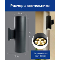 Уличный светодиодный светильник FERON 2х9W, 1500Lm, 2700K, черный DH0710 48354