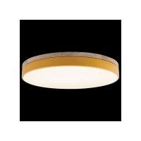 Накладной светильник LOFT IT Axel 10001/36 Yellow