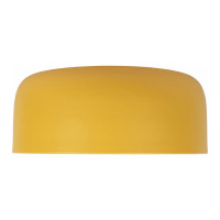 Накладной светильник LOFT IT Axel 10201/350 Yellow