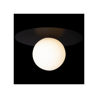 Накладной светильник LOFT IT Ufo 10120/250C Black