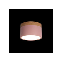 Накладной светильник LOFT IT Grape 10162 Pink