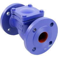 Клапан обратный подъемный DN.ru 287A Ду50 Ру16 фланцевый, чугунный D100-02376