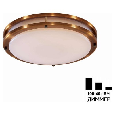 Светильник Citilux Бостон LED CL709323N