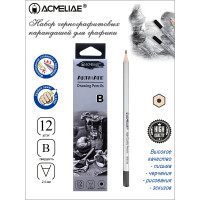 Чернографитный карандаш ACMELIAE B шестигранный, корпус серебряный, 12 шт. 8000-B EAN