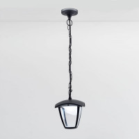 Уличный подвесной светильник Citilux LED Чёрный CLU04P