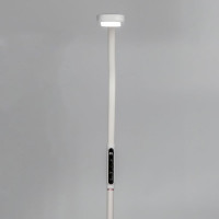 Гибкий светодиодный торшер Citilux Марк Белый CL804020