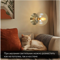 Светильник Citilux Томми Бронза CL102513