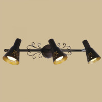 Поворотный Citilux Дункан Коричневый CL529531