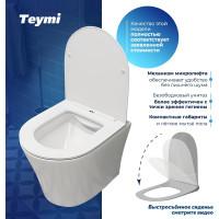 Подвесной унитаз Teymi Ellie безободковый, сиденье микролифт T40802 ЦБ-00266661