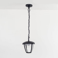 Уличный подвесной светильник Citilux LED Чёрный CLU04P