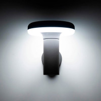 Уличный настенный светильник Citilux LED Графит CLU01W