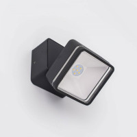 Уличный светильник Citilux LED поворотный Графит CLU0008K