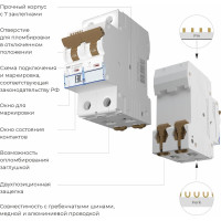 Автоматический выключатель WERKEL 2p 25A C 4,5кA a062496