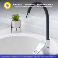 Смеситель для кухни РМС SL137GY-016F