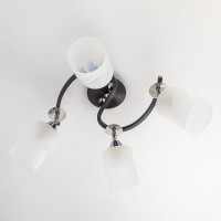 Люстра с поворотными плафонами Citilux Сиерра Чёрная CL119241