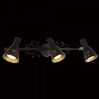 Поворотный Citilux Дункан Коричневый CL529531
