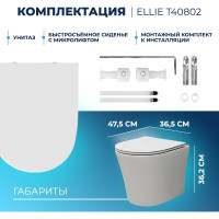 Подвесной унитаз Teymi Ellie безободковый, сиденье микролифт T40802 ЦБ-00266661