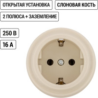 Розетка TDM ELECTRIC 2П+З 16А 250В сл. кость «Виви» SQ1820-1317
