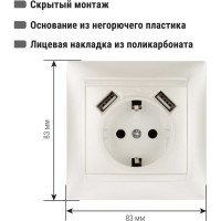 Розетка с заземлением 16А 250В + 2 USB порта 2,1А 5В перламутр серия "Лама" TDM ELECTRIC SQ1815-0842