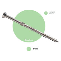 Саморез для фасада потайной 5,0х100 нержавеющая сталь T25 упаковка 100 шт Гвозdeck 207050100C1TXNN1
