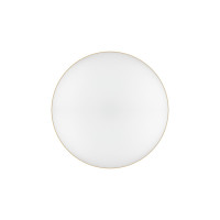 Светодиодный потолочный светильник ЭРА Relict 48 Pult SPB660RC MG с ДУ 60Вт 3000-6500К, Золото Б0059498