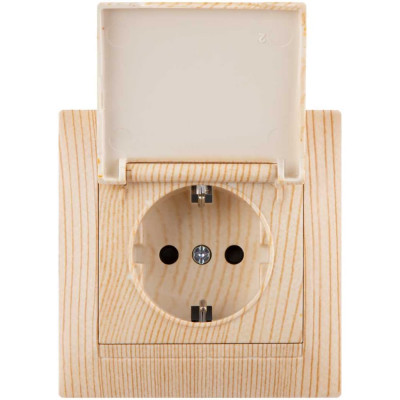Розетка TDM ELECTRIC Лама 2П+З 16А 250В IP44 с защитными шторками, с крышкой сосна SQ1815-0314