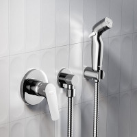 Смеситель монтируемый в стену Damixa Jupiter с гиг. душем, хром 777510001