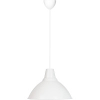 Светильник TDM ELECTRIC НСБ 2537/1 "steel" 40 Вт, Е27, опал, шнур белый SQ0313-0046