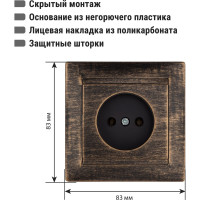 Розетка 2П 10А 250В с защитыми шторками TDM ELECTRIC старинная бронза, серия "Лама" SQ1815-0751