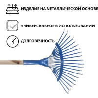 Грабли ООО Агростройлидер веерные пластинчатые 20-ти зубые порошковая окраска с черенком в сборе l=1,5 м САД-09.06.22