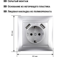 Розетка с USB 2 порта 2,1А 5В, с заземлением TDM ELECTRIC серебристый металлик, 2П 16А 250В серия "Лама" SQ1815-0242