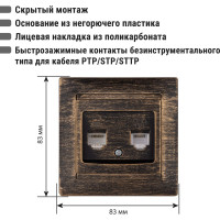 Розетка телефонная RJ11 + компьютерная RJ45 TDM ELECTRIC старинная бронза, серия "Лама" SQ1815-0760