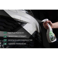 Очиститель кузова автомобиля от тополиных почек и следов насекомых Fortex FC.1104