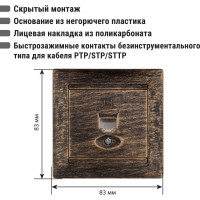Розетка компьютерная RJ45 TDM ELECTRIC старинная бронза, серия "Лама" SQ1815-0757