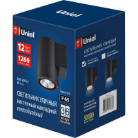 Светильник светодиодный уличный. Архитектурный накладной. ULU-S21С-12W/2700K IP65 BLACK Uniel UL-00010845