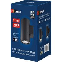 Уличный светильник Uniel ULU-S22D-2x12W/6400K IP65 BLACK UL-00010848