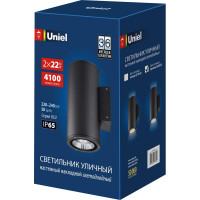 Уличный светильник Uniel ULU-S22D-2x22W/6400K IP65 BLACK UL-00010852