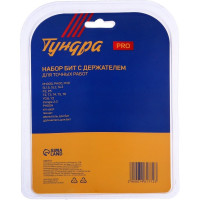 ТУНДРА Набор для точных работ PRO 21 предмет 7461772